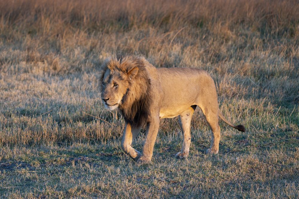 It's Been a Great Afternoon