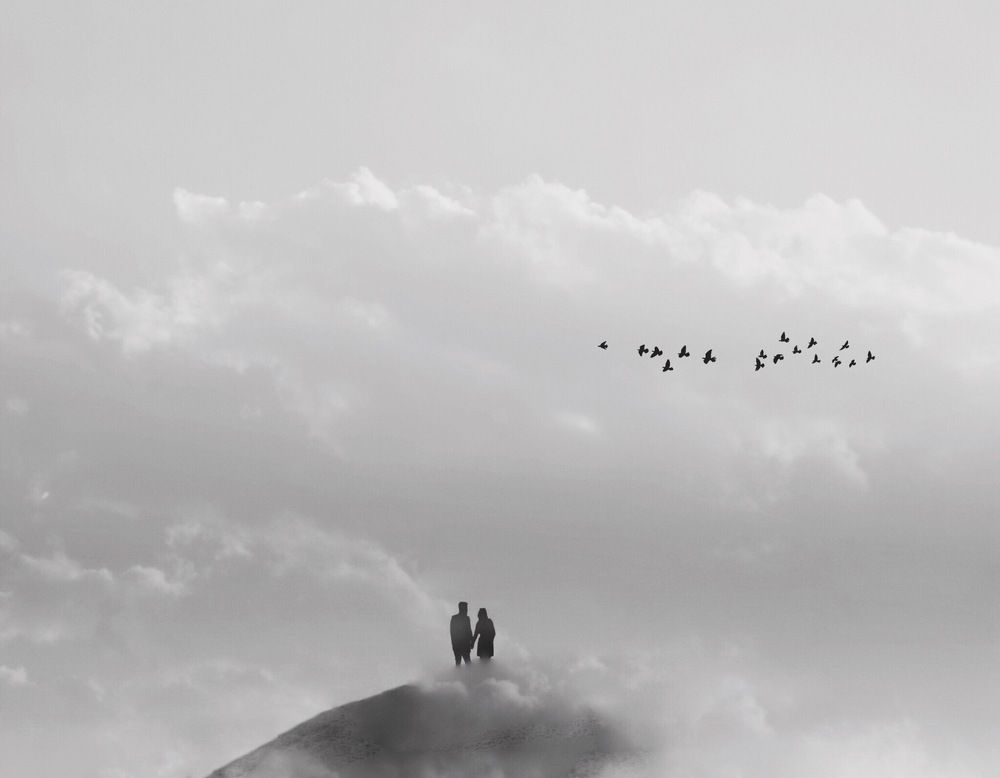 Фотография автора Alireza Bagheri sani