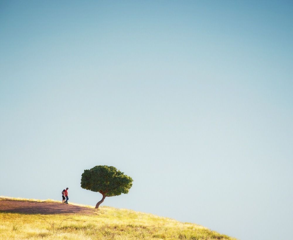 Фотография автора Alireza Bagheri sani