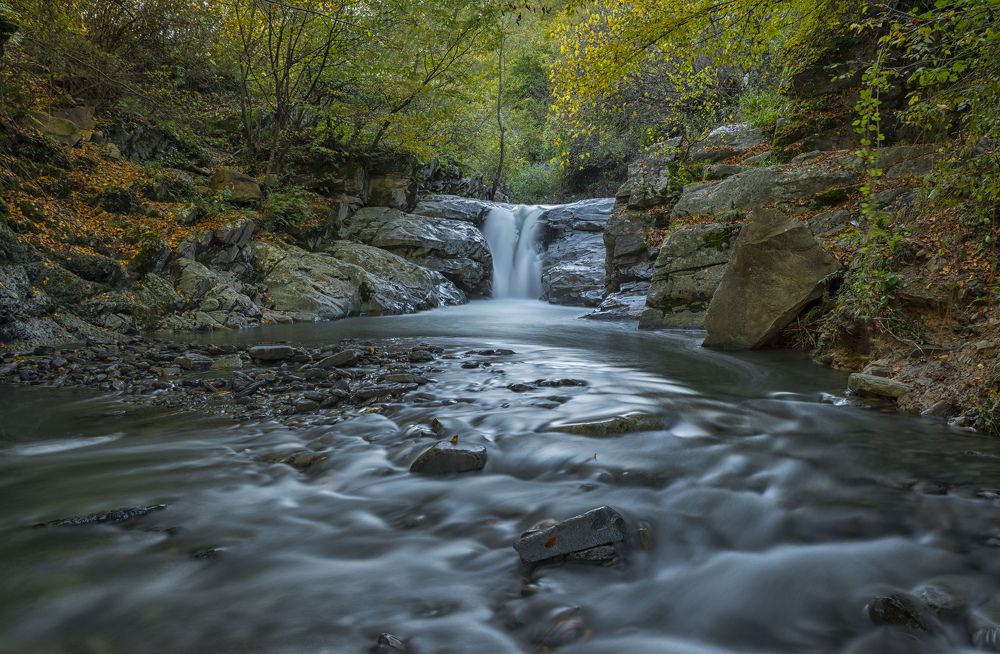 Photograph by Ozlem Ozyun