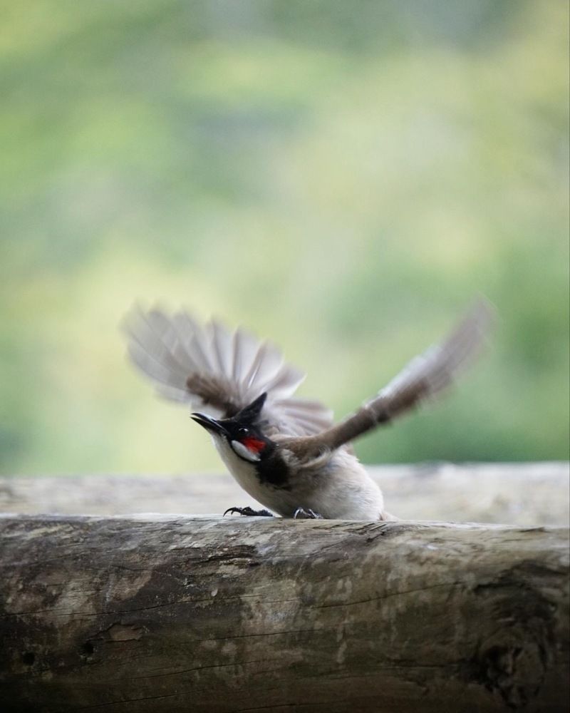Photograph by Анна Дубровская