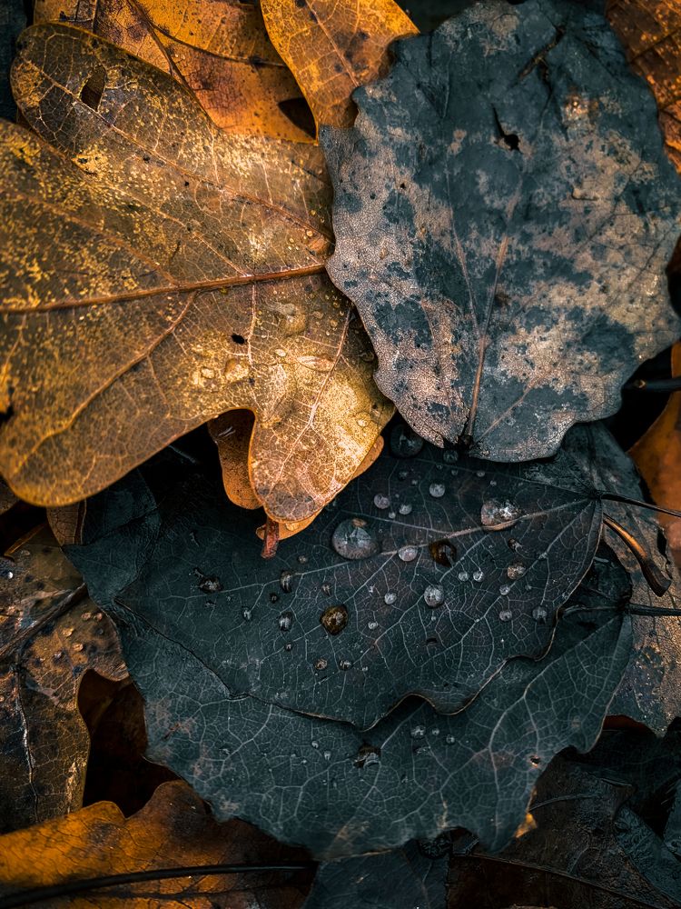 Photograph by Арслан Валаев