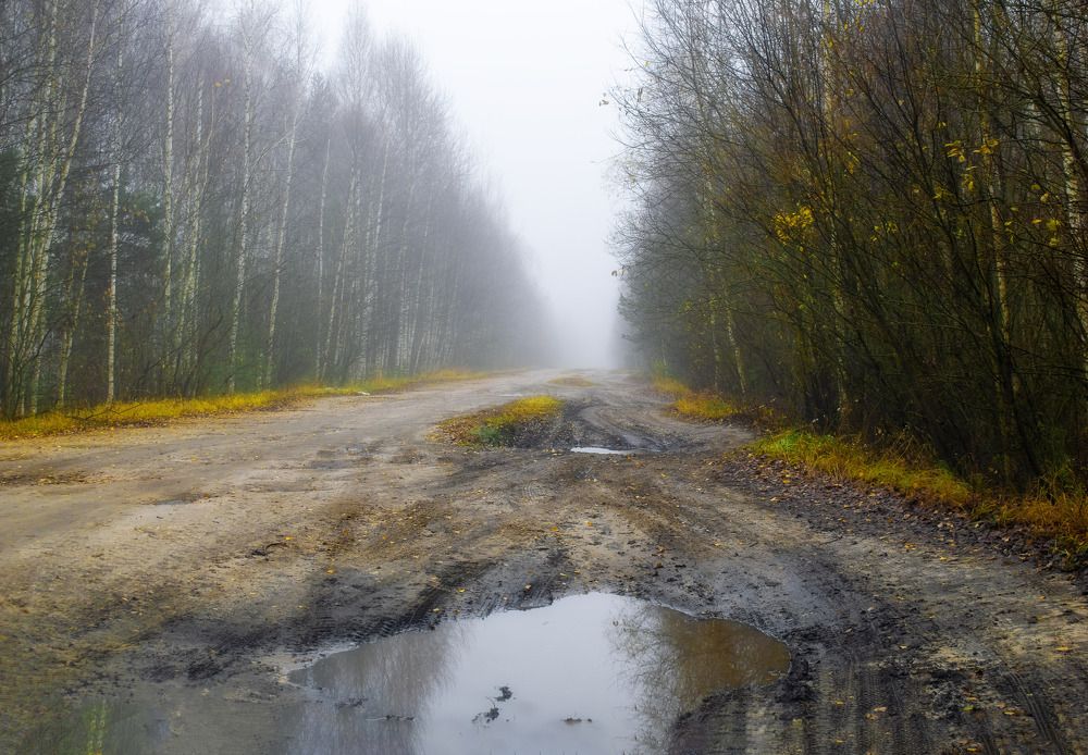 Photograph by Margarita