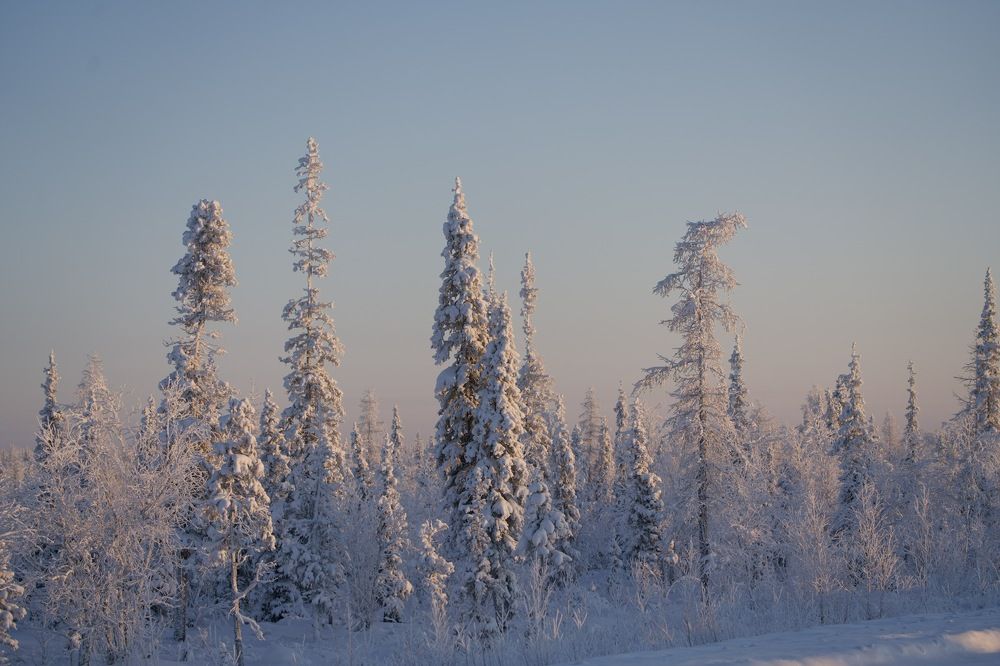 Фотография автора Виктория Ким