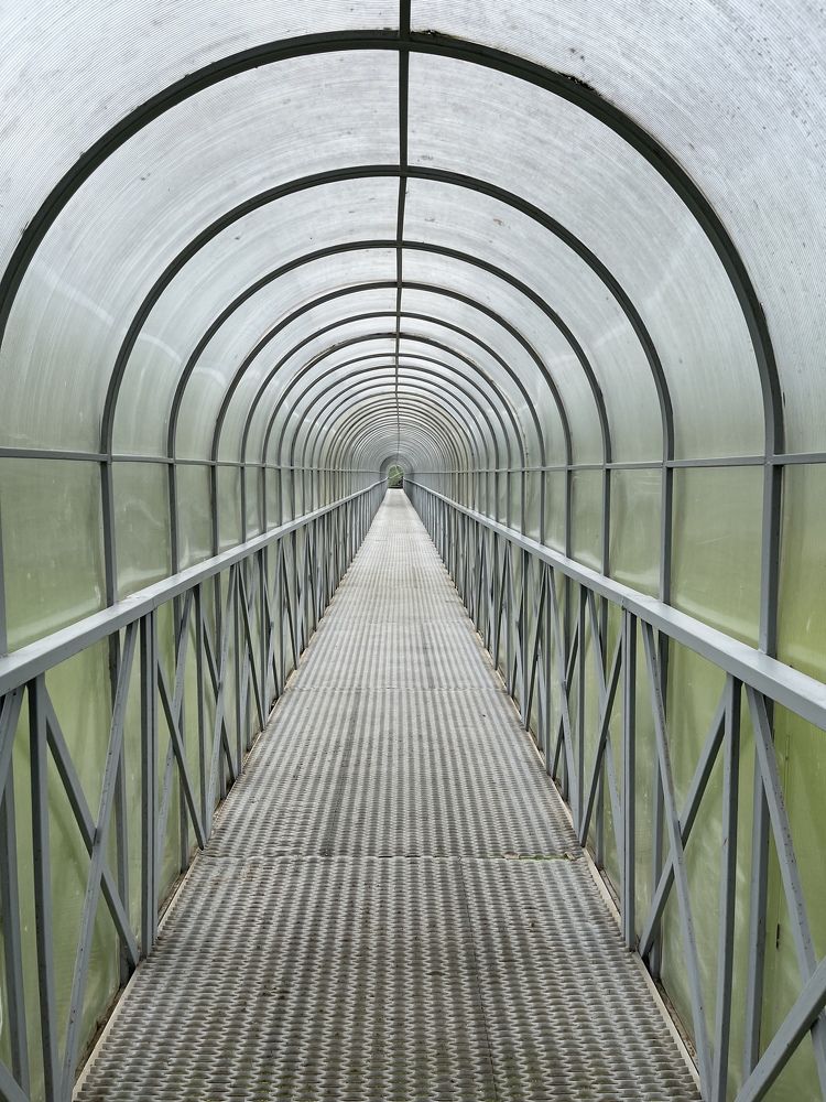 Photograph by Григорий Лыжин