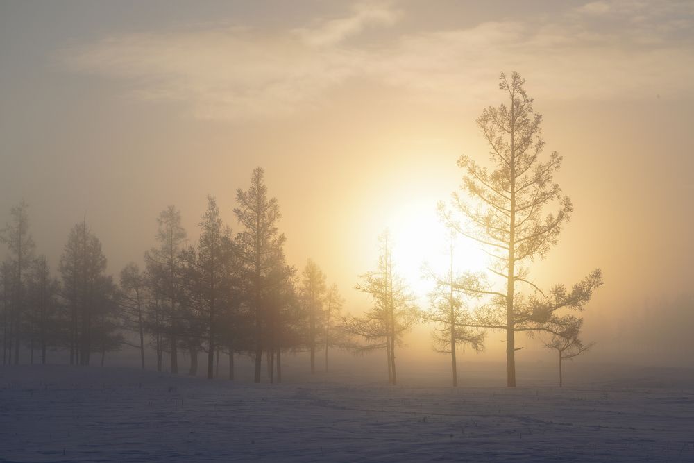 Photograph by Андрей Кузнецов