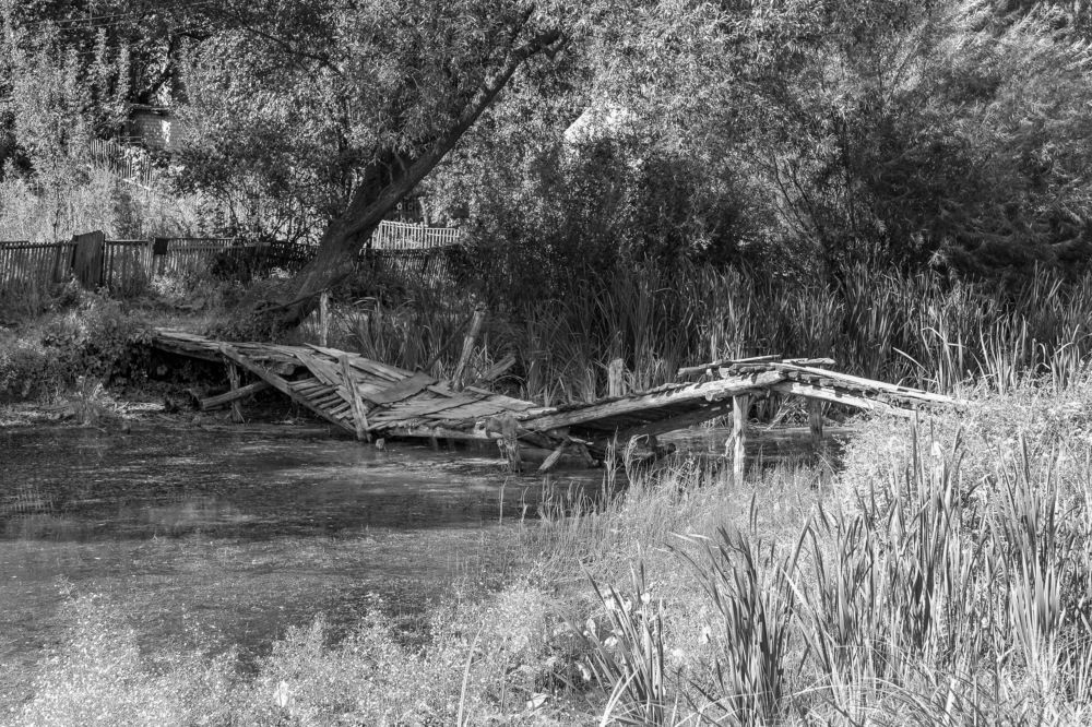 Photograph by Алексей Сидак