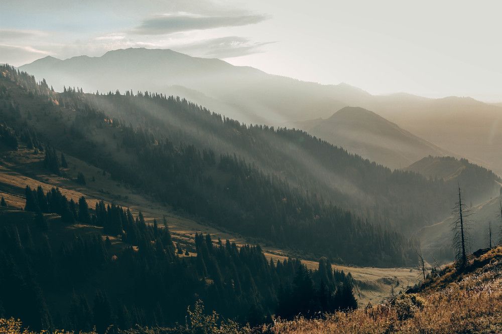 Photograph by Юлиан Хлыновский