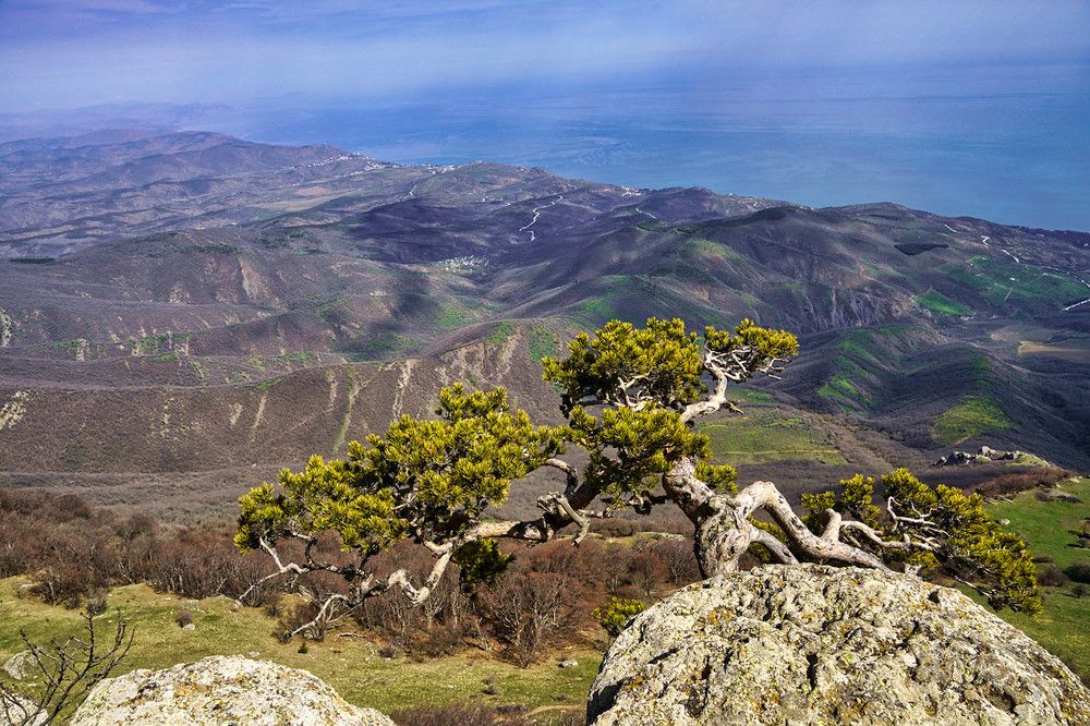 Photograph by Михаил Баевский