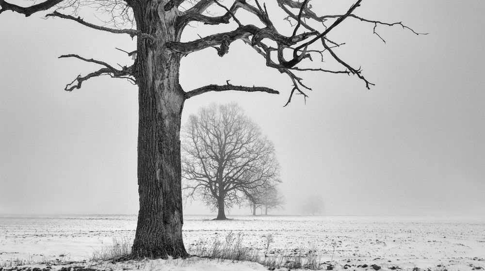 Фотография автора Александр Буренко