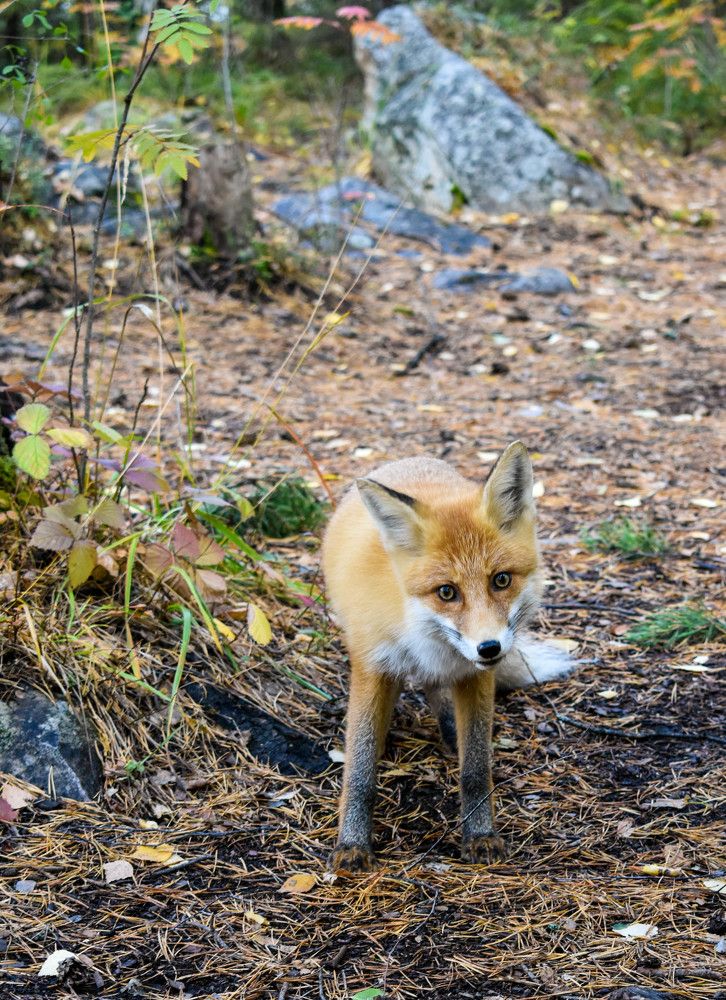 Photograph by Татьяна