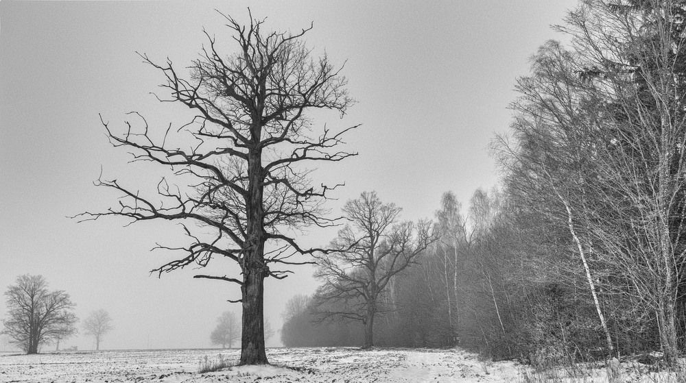 Фотография автора Александр Буренко