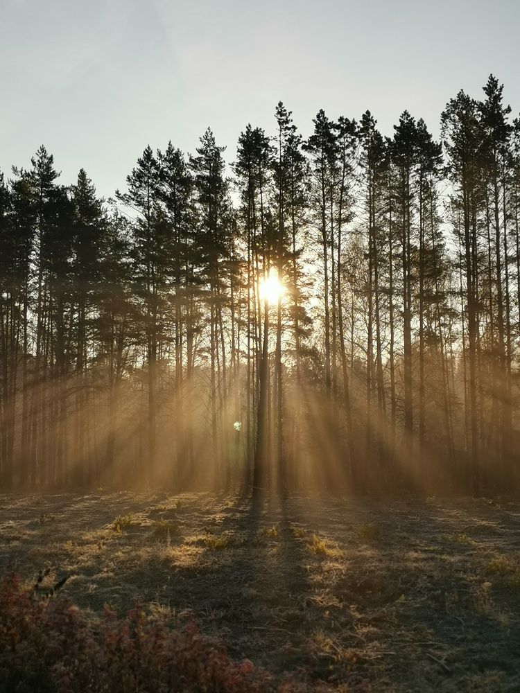 Фотография автора Регина Цыганова