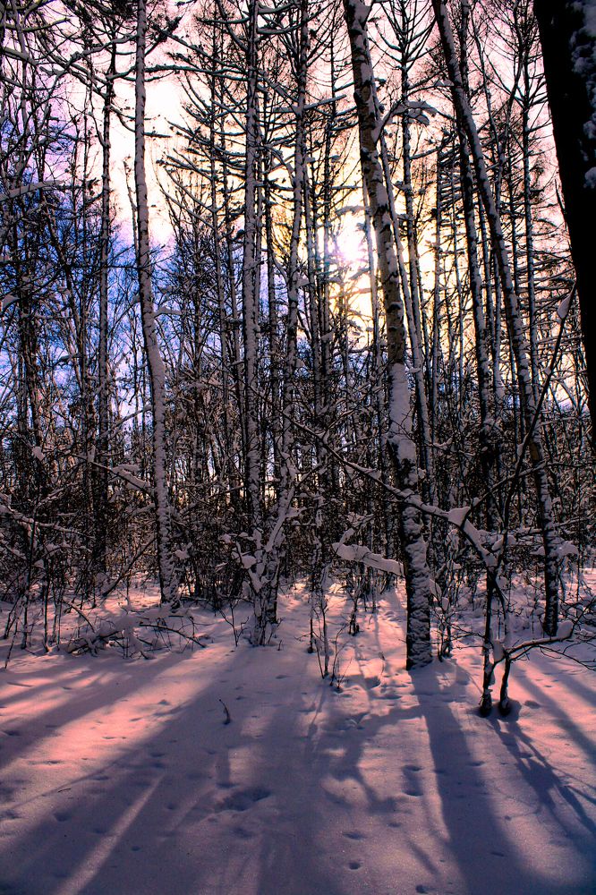 Photograph by Дарья