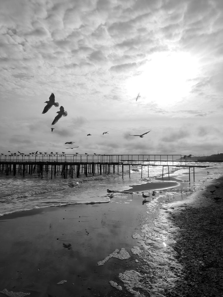 Photograph by Алёна