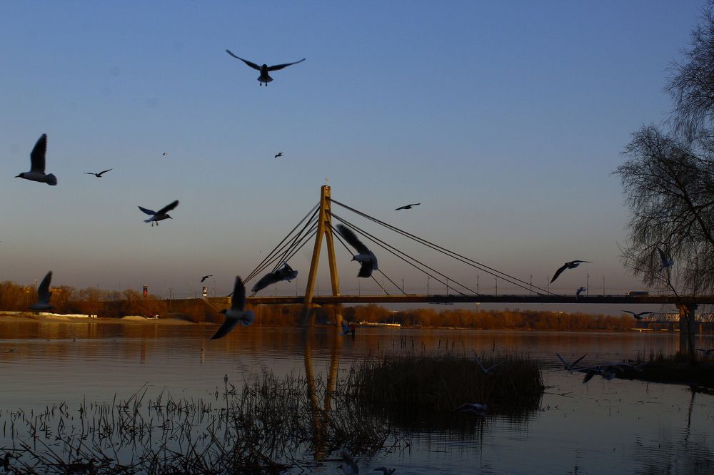 Photograph by Дмитрий Растихин