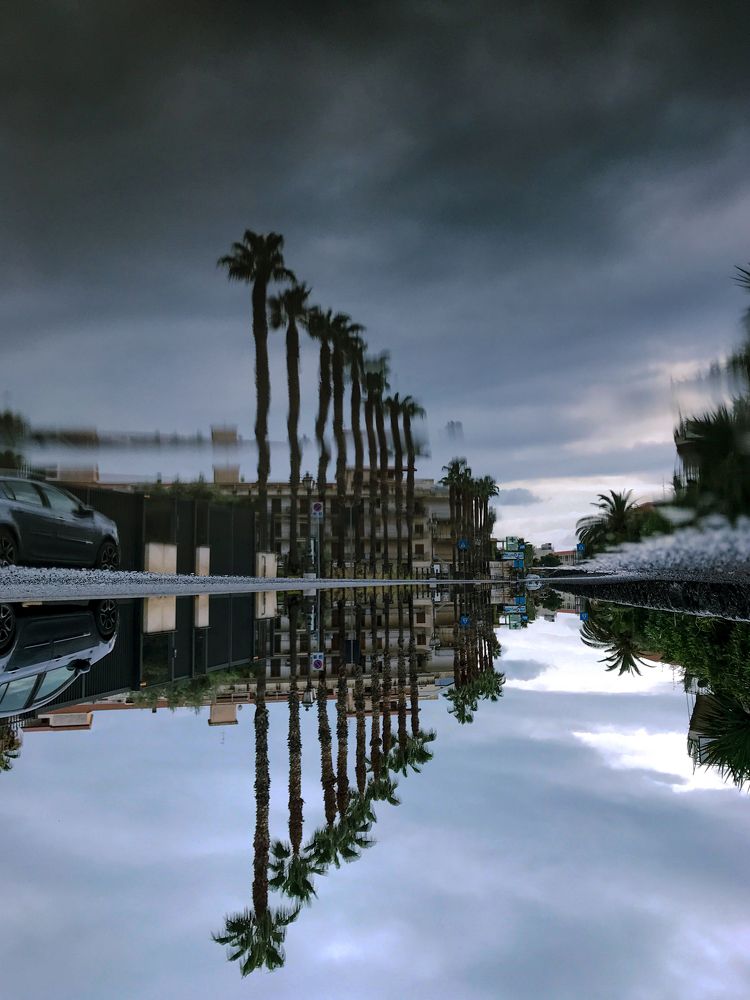 Photograph by TATIANA BOHDANOVA