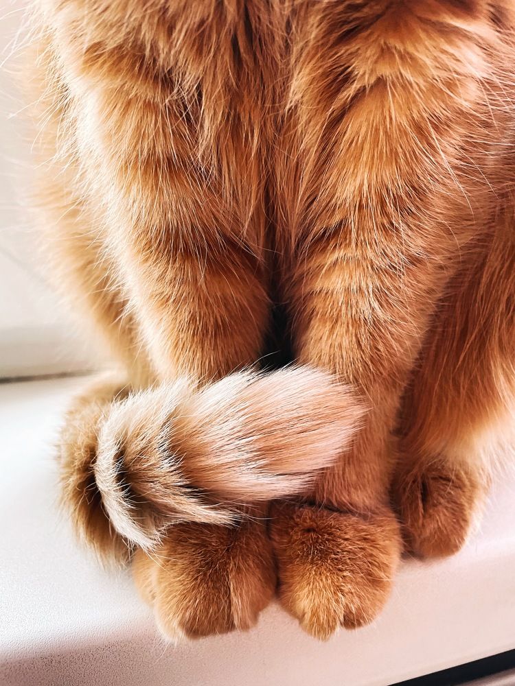 Фотография автора Oxana Yurasova