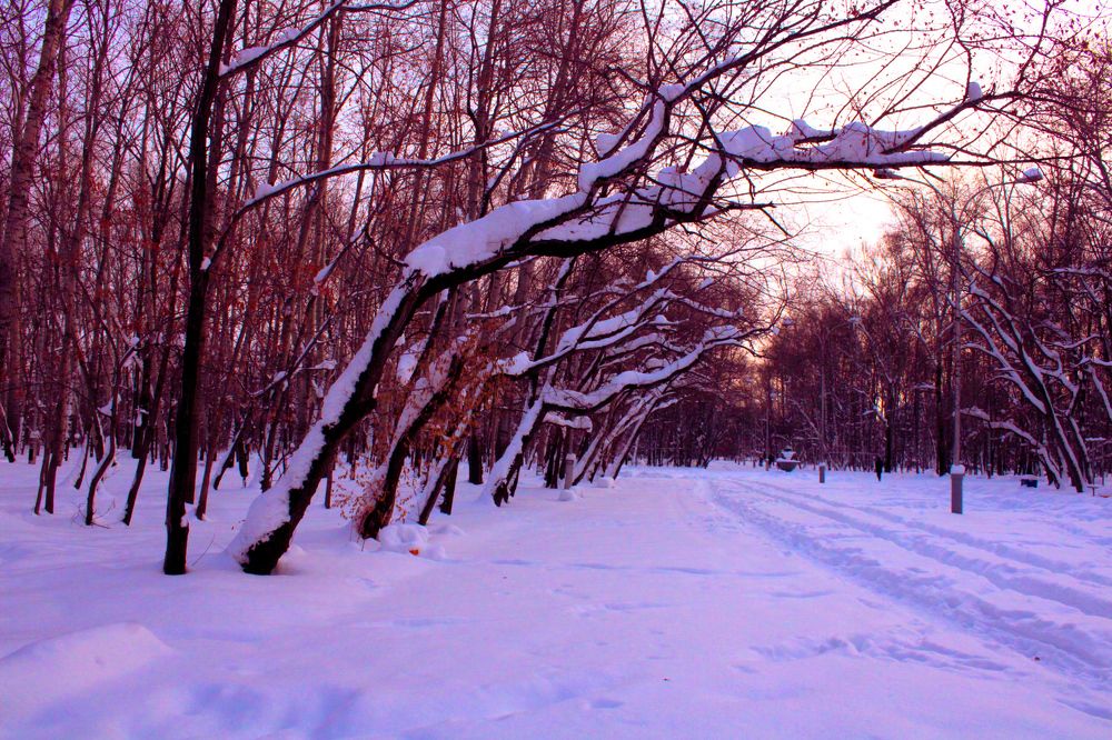 Photograph by Дарья