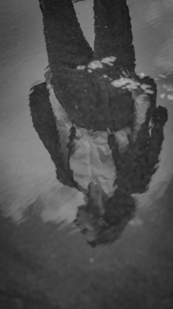 Photograph by Дмитрий Растихин