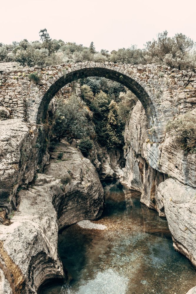 Photograph by Людмила Леонтьева