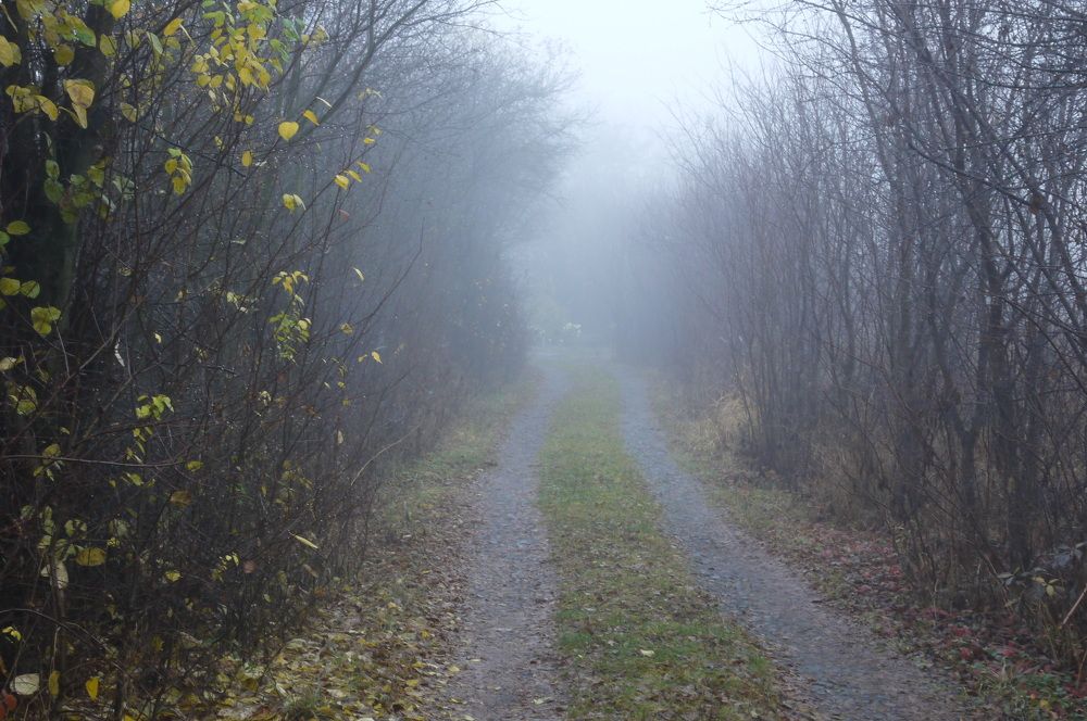 Photograph by Володимир Федишин