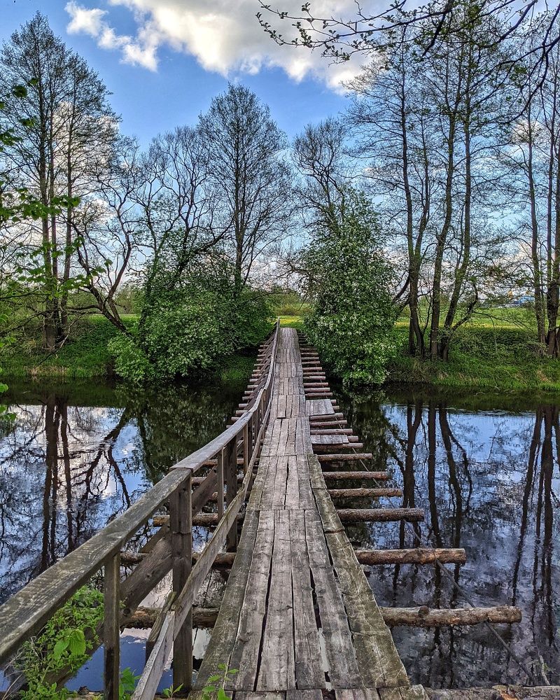 Фотография автора Евгений Ильин