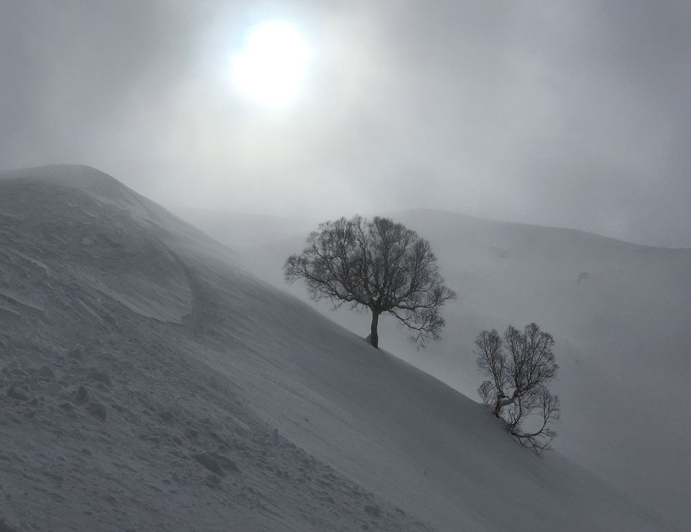 Photo #6843806