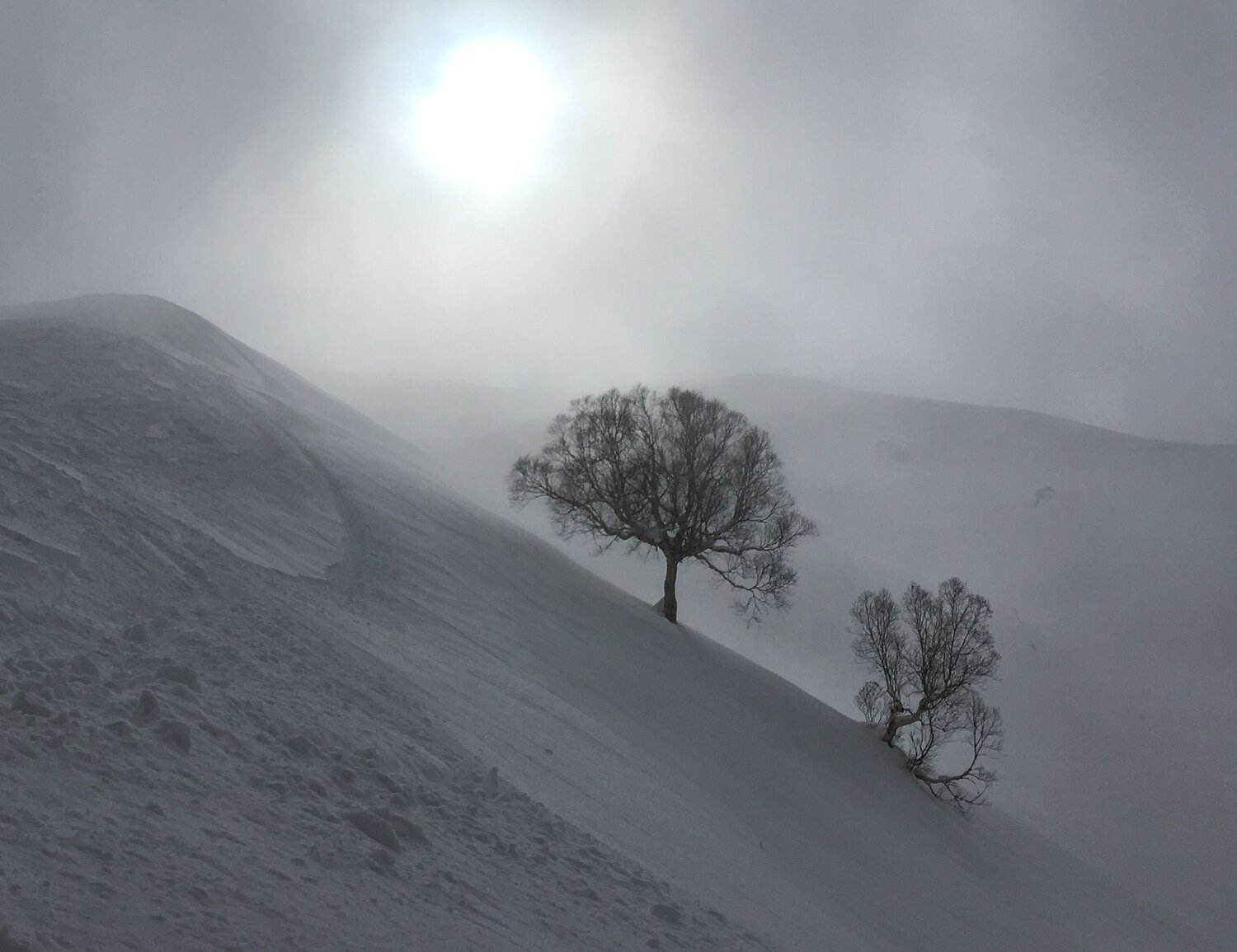 Photo #6843806