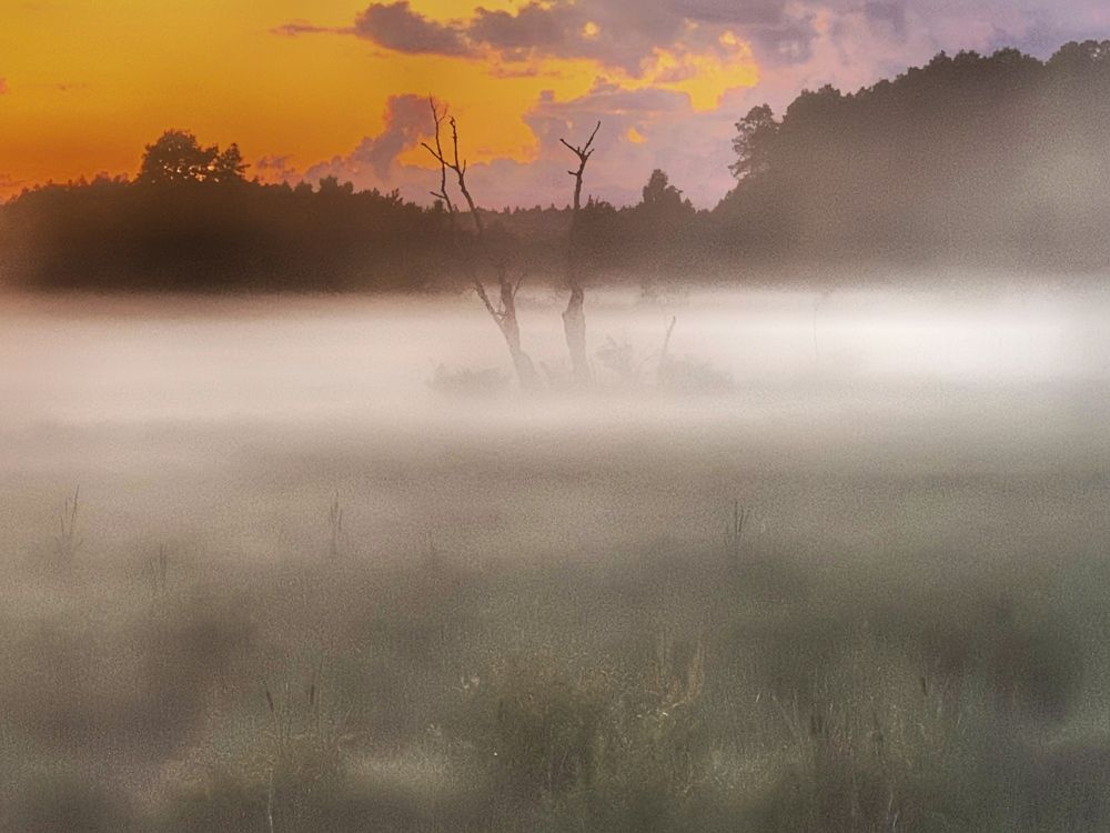 Photograph by Петр Бузовкин