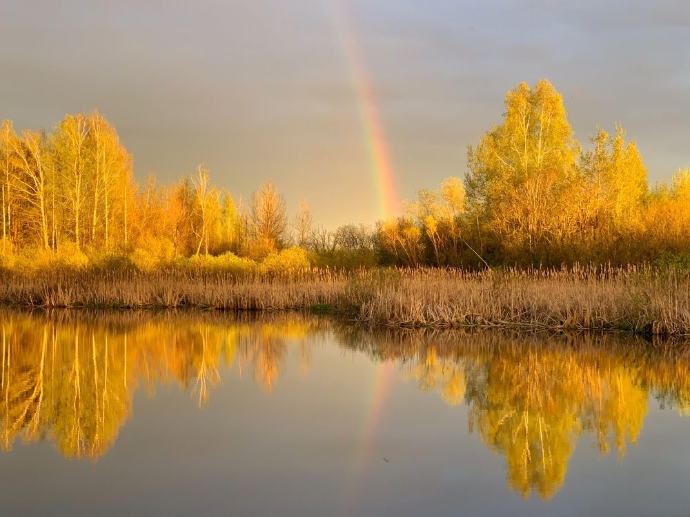Photograph by Петр Бузовкин