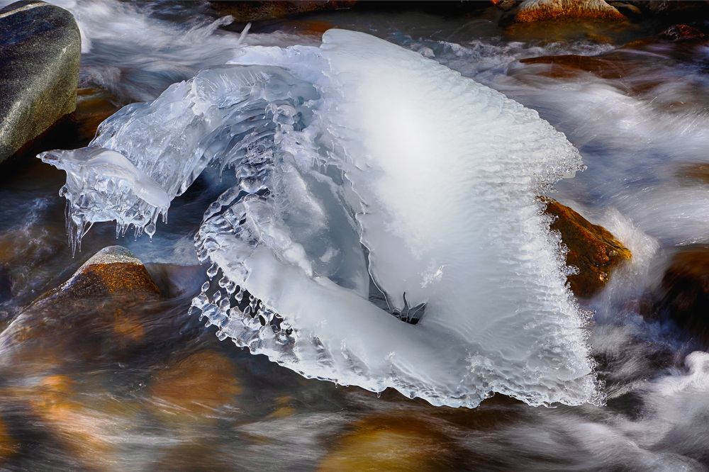 Краказябра алаарчинская