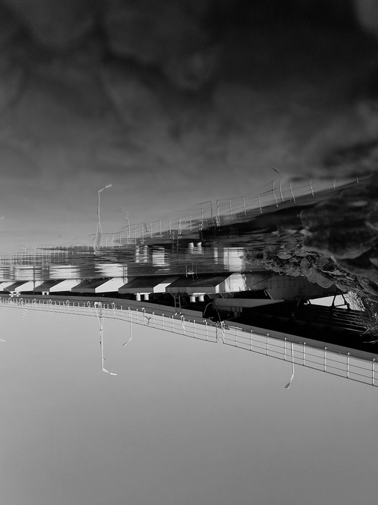 Photograph by Татьяна Комарова