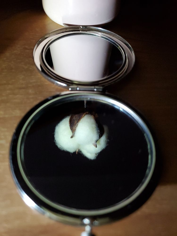 Photograph by Евгения Алексеева