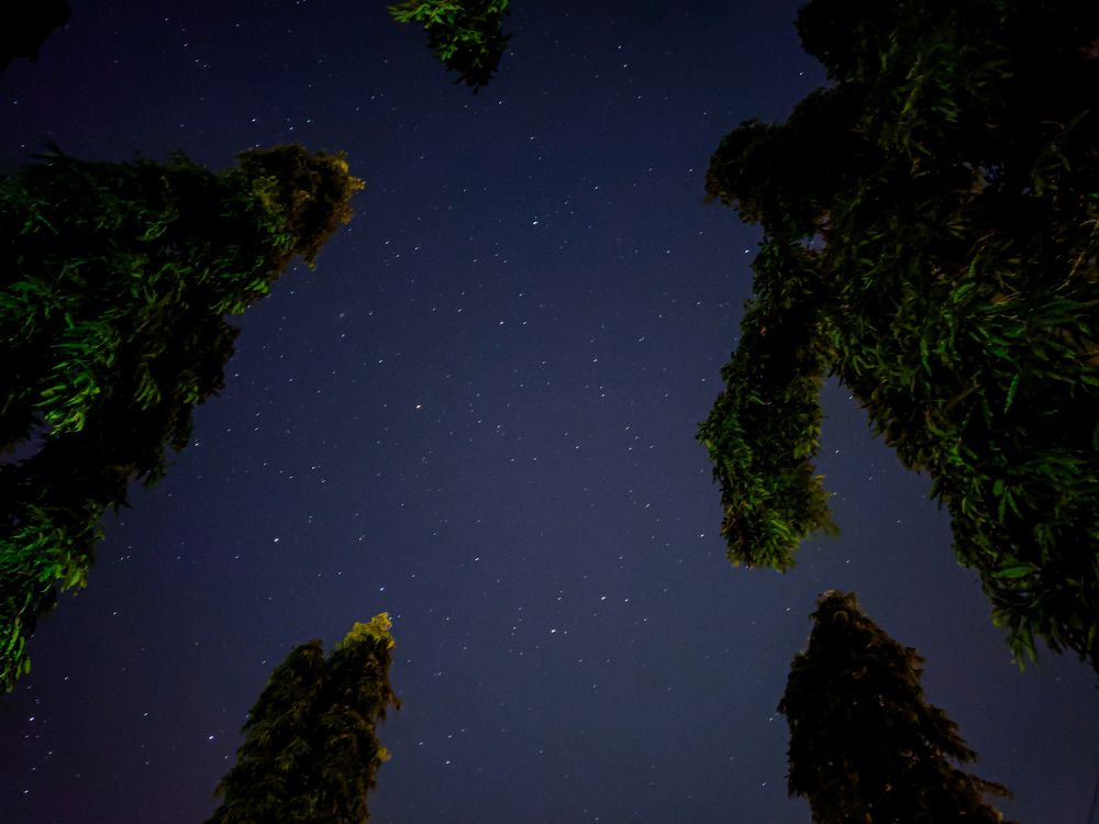 Photograph by Pritam Mandal