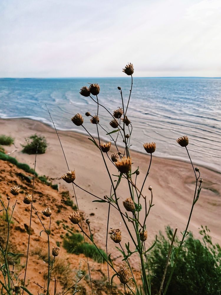 Пасмурный день