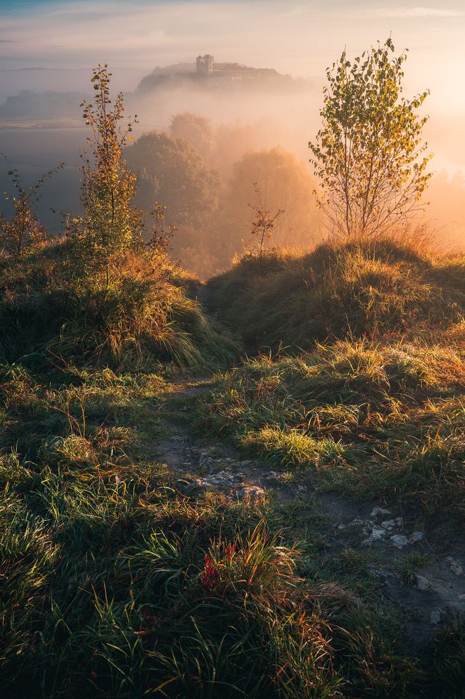 Photograph by Francesco Petardi