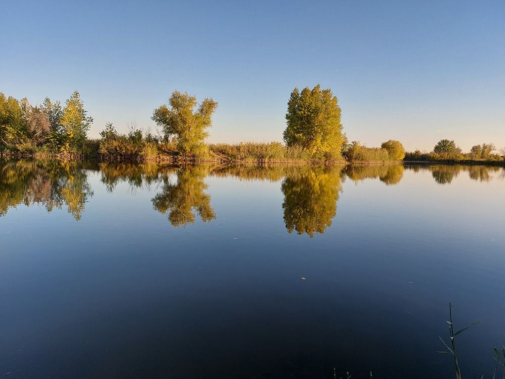 Photograph by Юлия Измерова