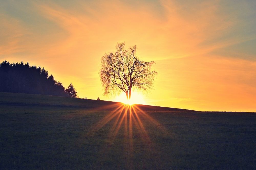 Photograph by Jan Musil