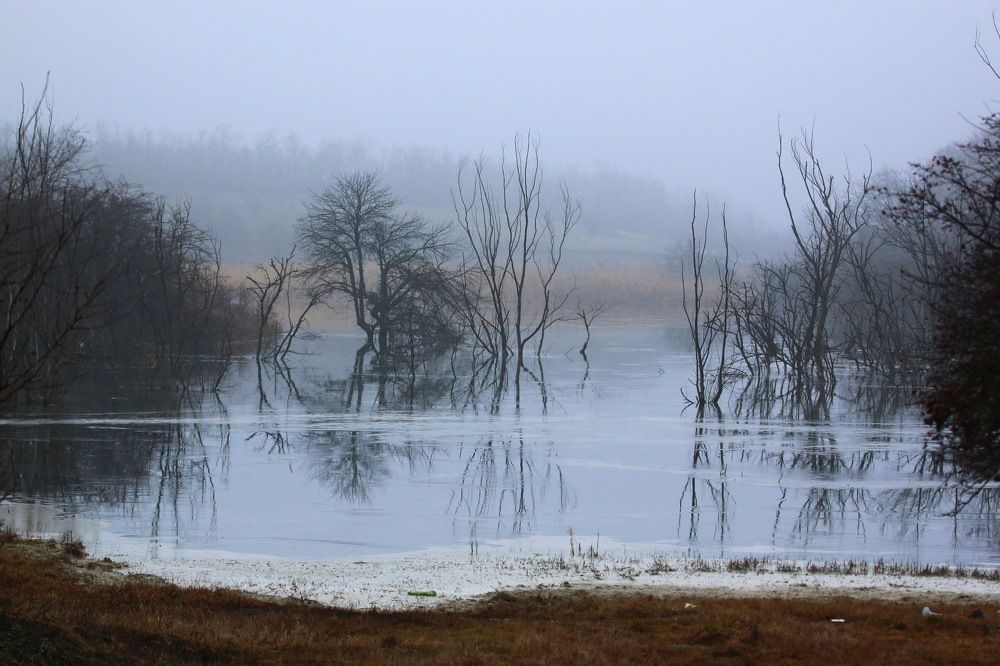 Фотография автора Евгений