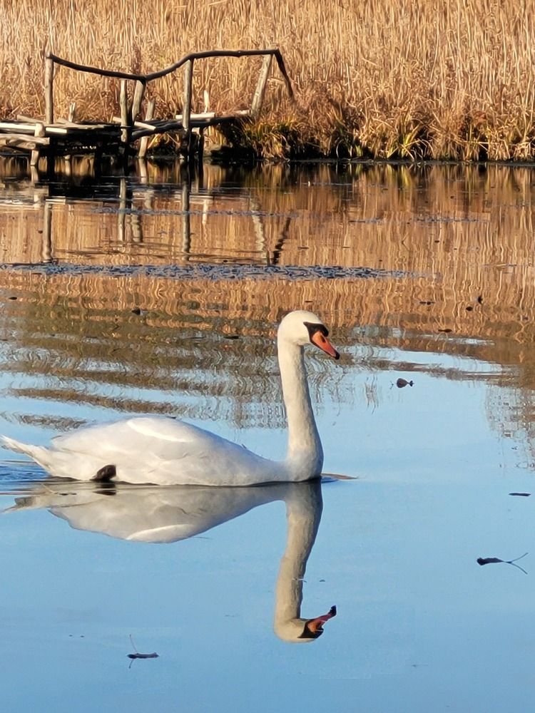 Фотография автора Lada Yakouchyk