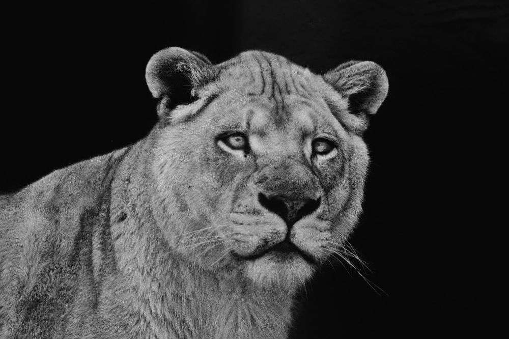 Фотография автора Евгений