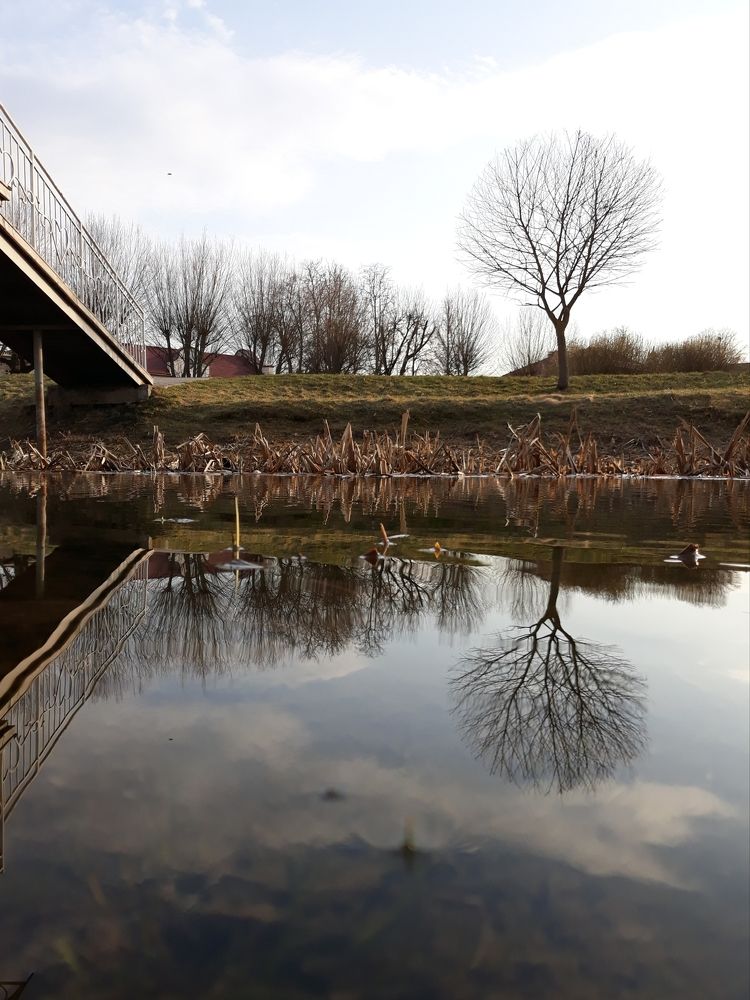 Photograph by Оксана Урбанович