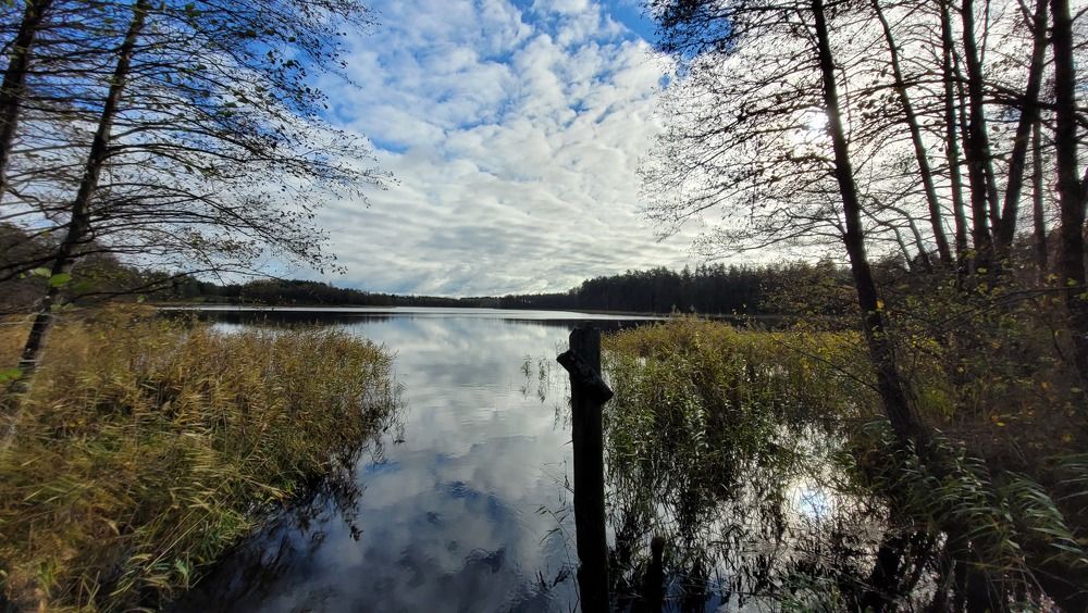 Фотография автора Lada Yakouchyk