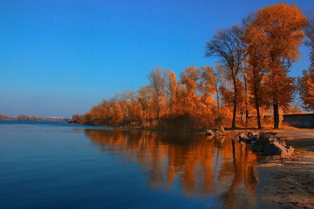 Фотография автора Евгений