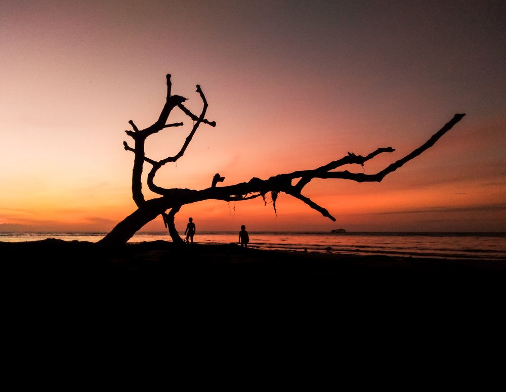 Photograph by Ian Christopher Valenzuela