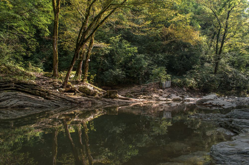 Фотография автора Антон