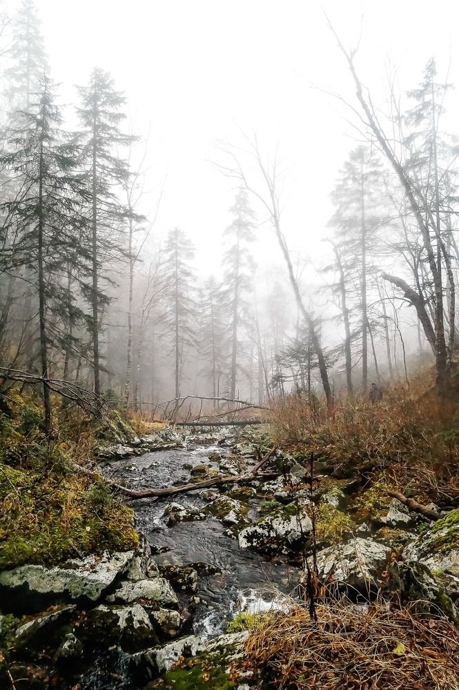 Photograph by Виктор Сёмушкин