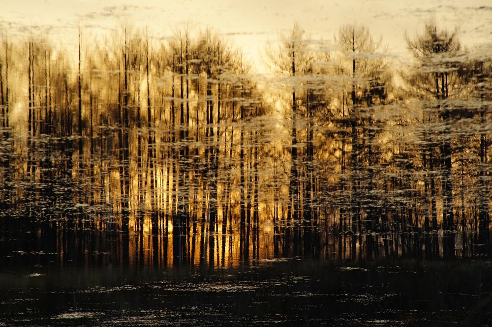 Photograph by Ирина Щеглова