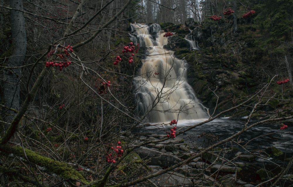 Фотография автора Антон